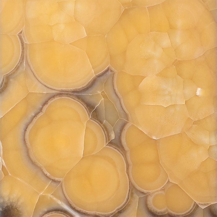 Коралл Про De Luxe